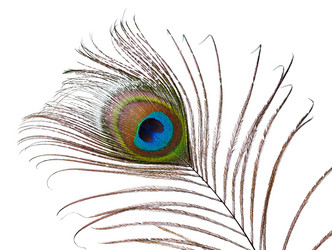 Similar image 1658316