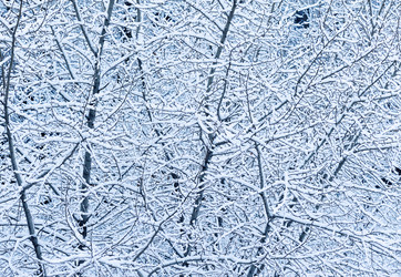 Similar image 1658317