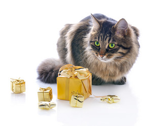 Similar image 1658321