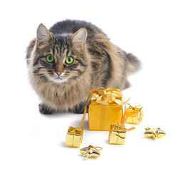 Similar image 1658323