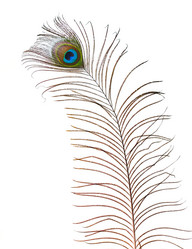 Similar image 1658325