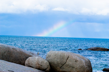 Similar image 1658397