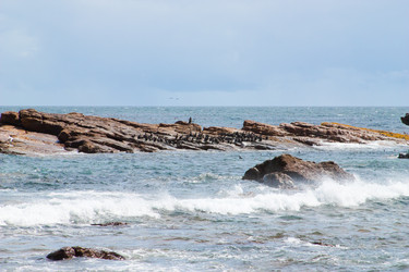 Similar image 1658399