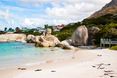 Similar image 1658405