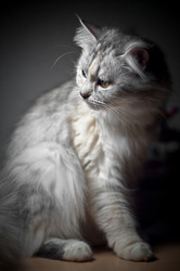 Similar image 1658476