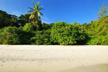 Similar image 1658617