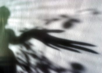 Similar image 1658649