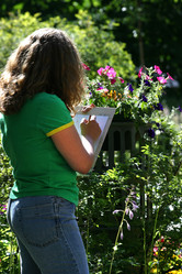 Similar image 1658668