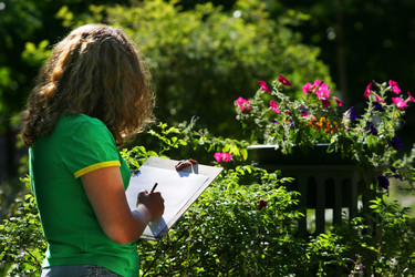 Similar image 1658676