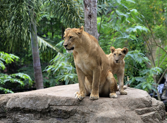 Similar image 1658710