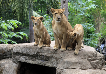 Similar image 1658712