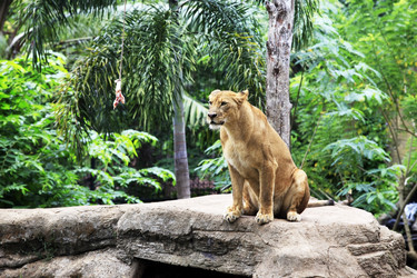 Similar image 1658730