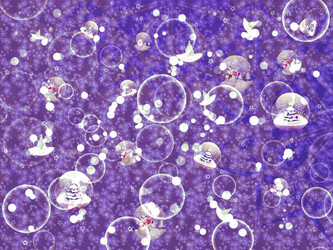 Similar image 1658736