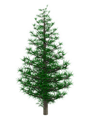 Similar image 1658785