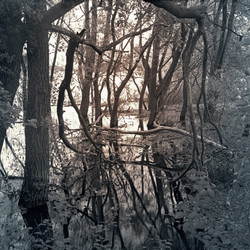 Similar image 1658856