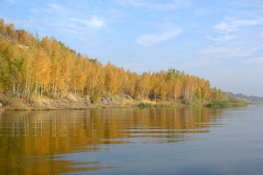 Similar image 1658858