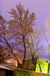 Similar image 1658859