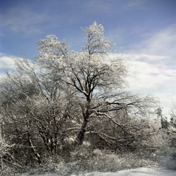 Similar image 1658861