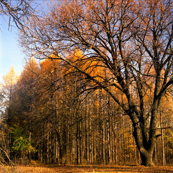 Similar image 1658862