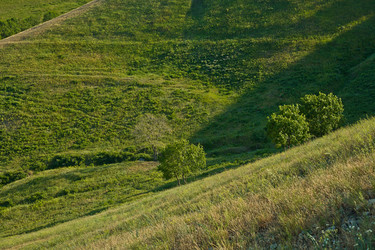 Similar image 1658864