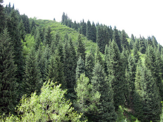 Similar image 1658868