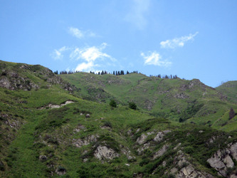 Similar image 1658869