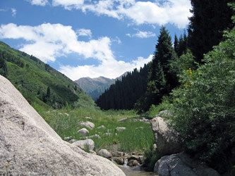 Similar image 1658870