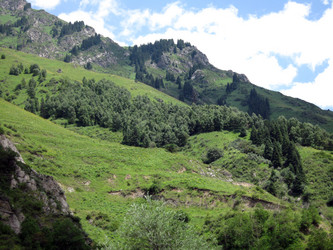 Similar image 1658871