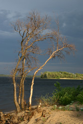 Similar image 1658879