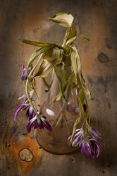 Similar image 1658882