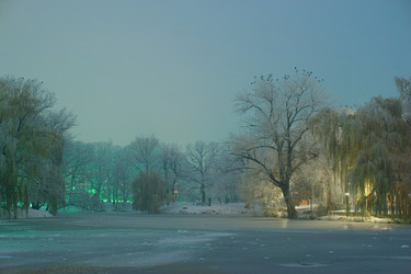 Similar image 1658886