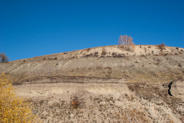 Similar image 1658887