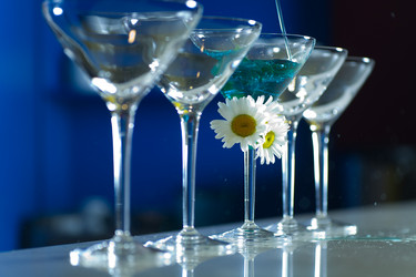 Similar image 1658888