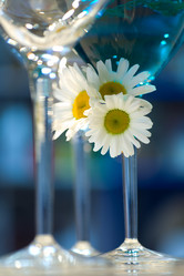 Similar image 1658889