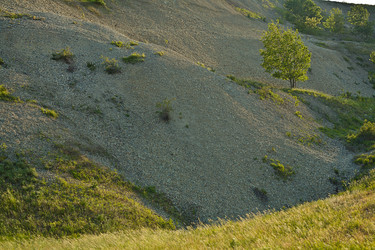 Similar image 1658891