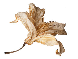 Similar image 1658894