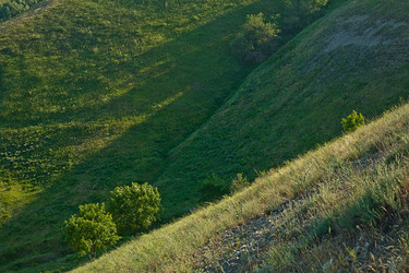 Similar image 1658897