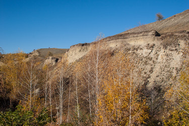 Similar image 1658898