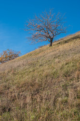 Similar image 1658900