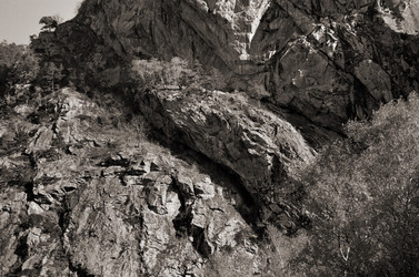 Similar image 1658906