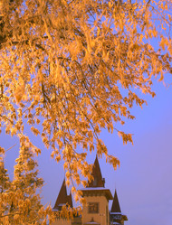 Similar image 1658916