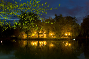 Similar image 1658929