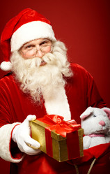 Similar image 1659078