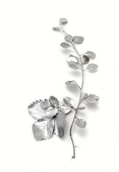 Similar image 1659317