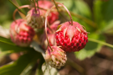 Similar image 1659427