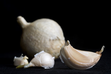 Similar image 1659475