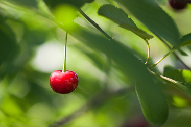 Similar image 1659477