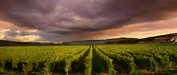 Similar image 1659488