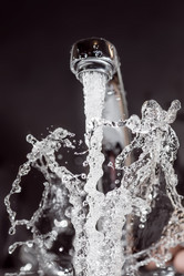 Similar image 1659489