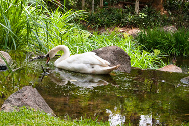 Similar image 1659563